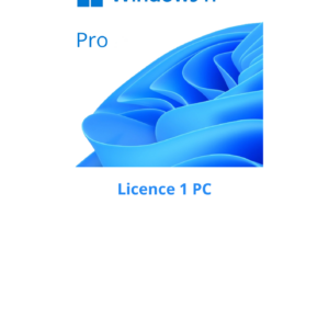 windows 11 pro fix 0