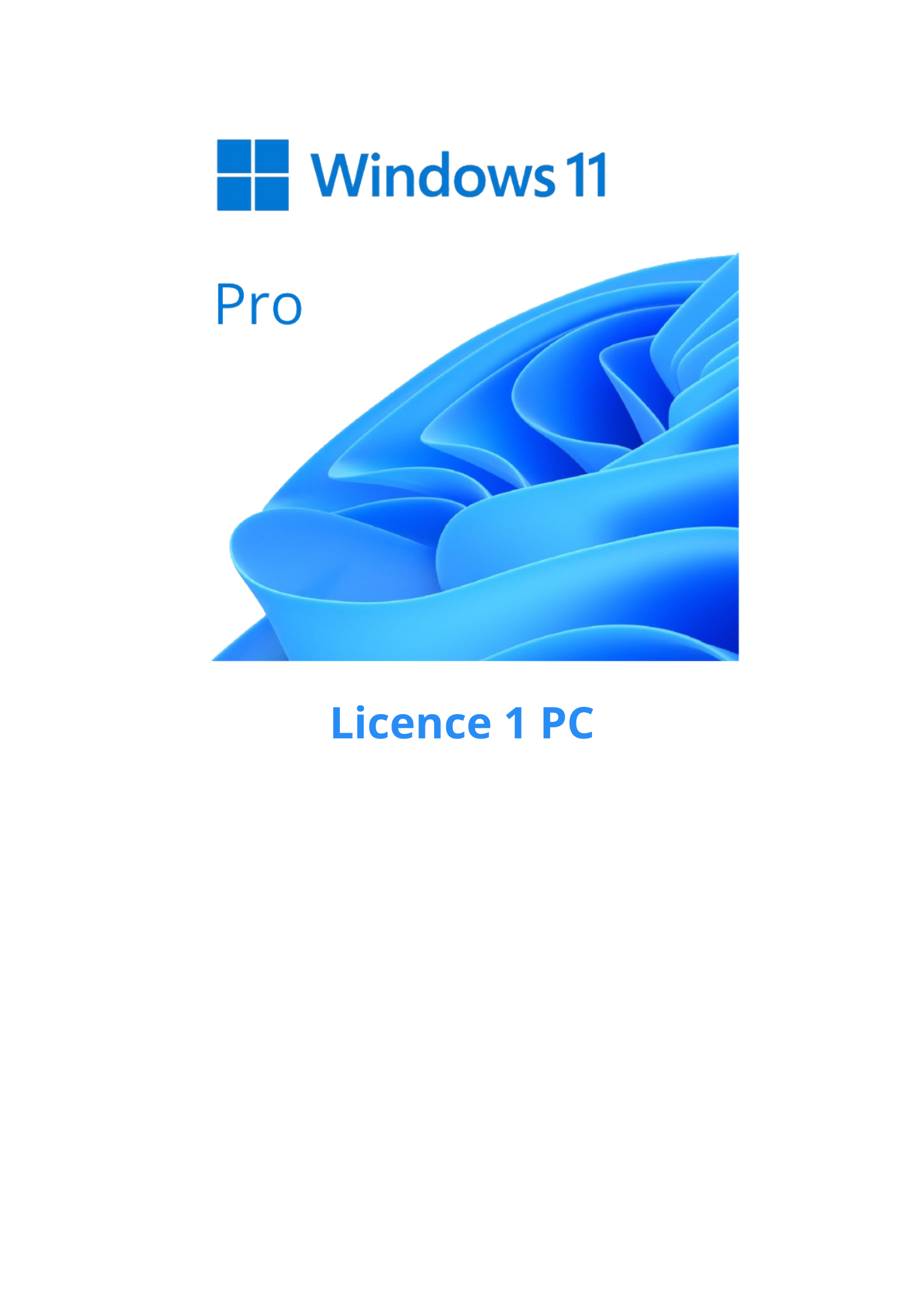 windows 11 pro fix 0